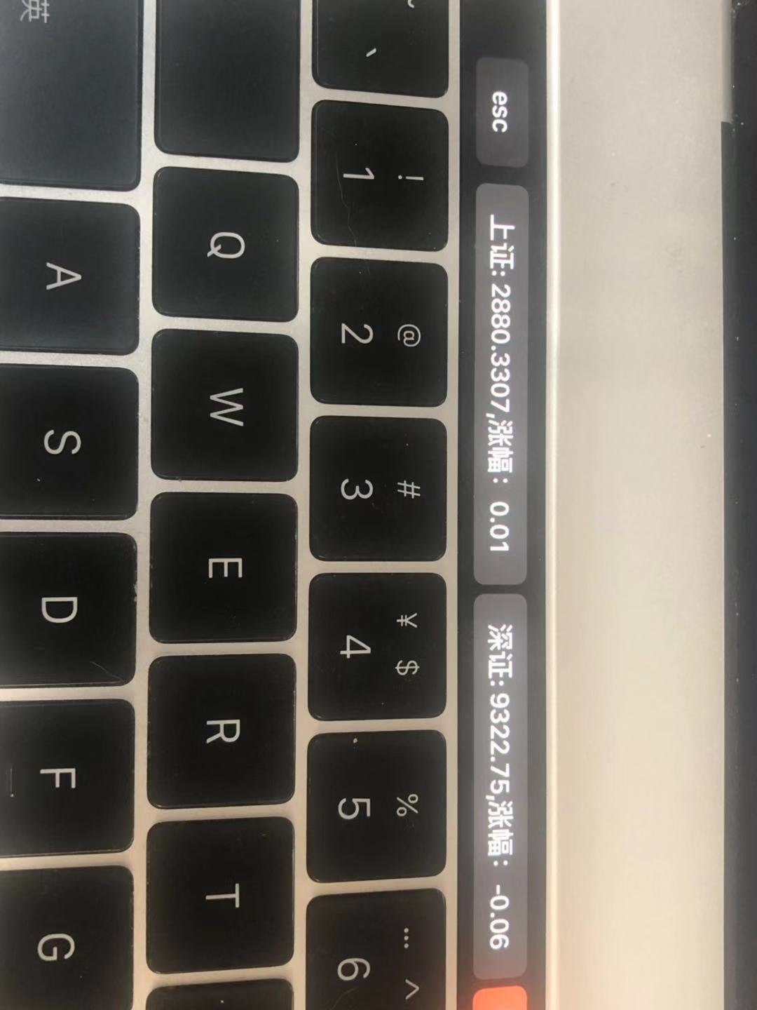 成果图片